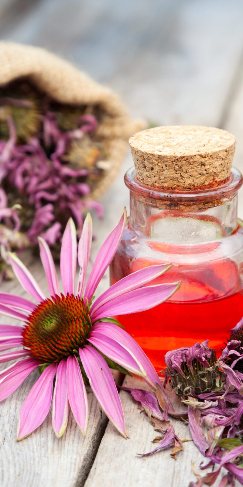 essential oil in glass bottle and coneflower on wooden rustic ta essential oil in glass bottle and coneflower on wooden rustic table, herbal medicine